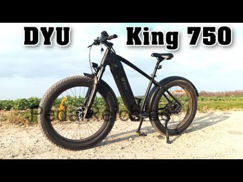 DYU King  technische daten 